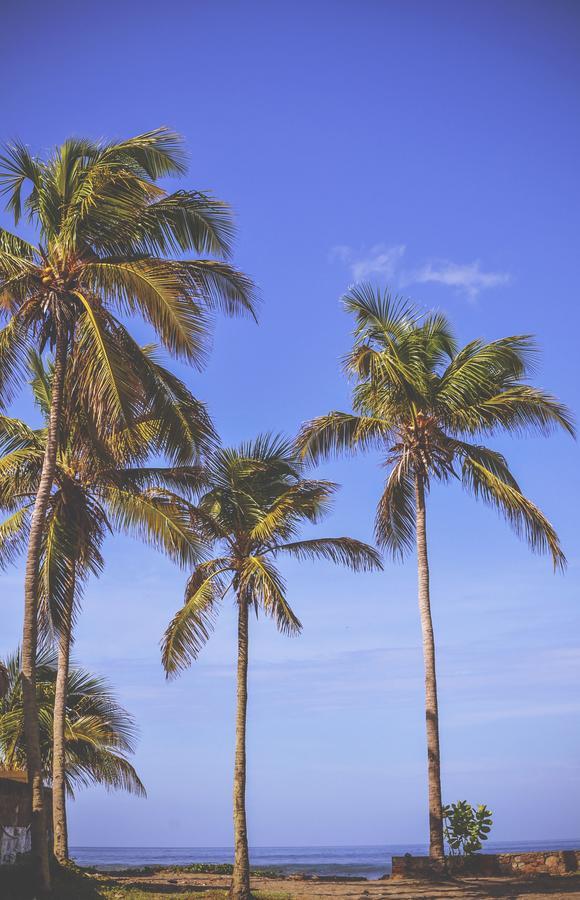 Simple Beach Lodge Las Peñitas 外观 照片